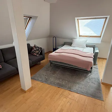 Der Tannenbaum מלון 2*