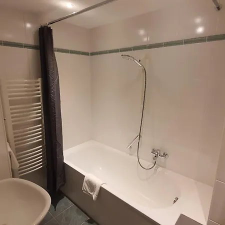 Der Tannenbaum מלון מינכן