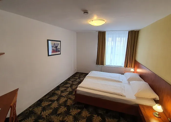 Der Tannenbaum מלון 2*