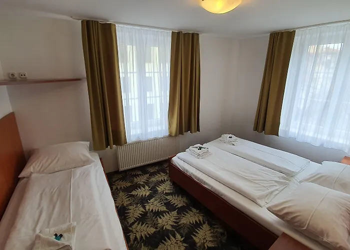 Der Tannenbaum מלון 2*