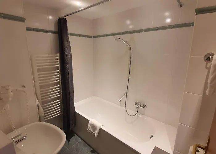 Der Tannenbaum מלון מינכן