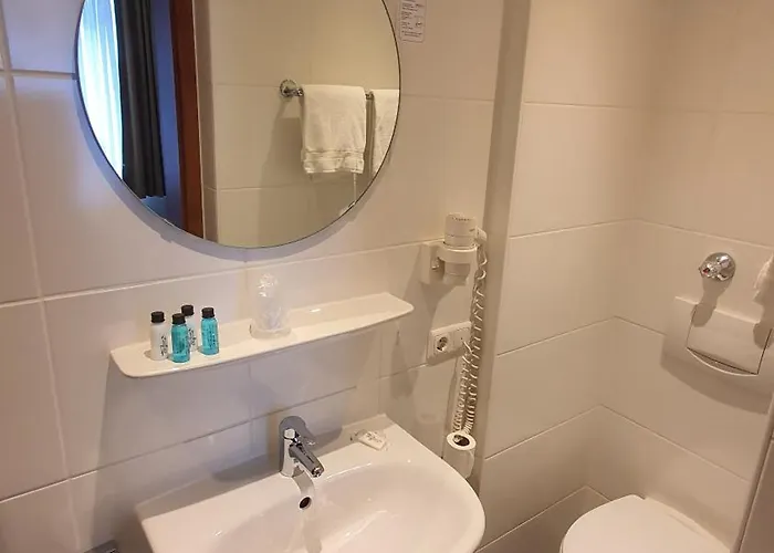 Der Tannenbaum מלון מינכן