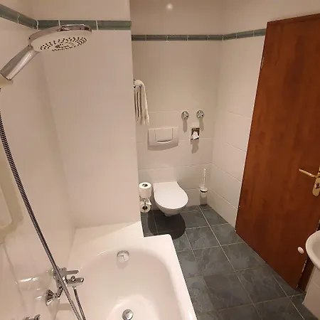 Hotel Der Tannenbaum 2*