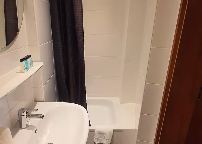 枞树酒店 2* 慕尼黑